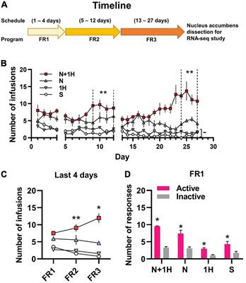 Harmane Potentiates Nicotine Reinforcement Through MAO-A Inhibition at the Dose Related to Cigarette Smoking